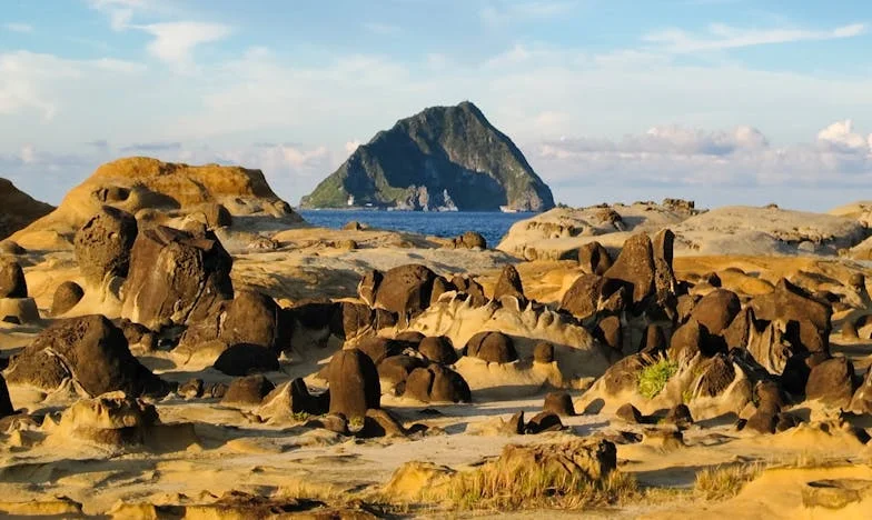 Lágrimas en las páginas: El sueño de Lucía y los libros para el hospital infantil