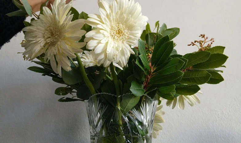 Lazos de Sangre: Cuando el Carrito de mi Hijo Desató una Tormenta Familiar