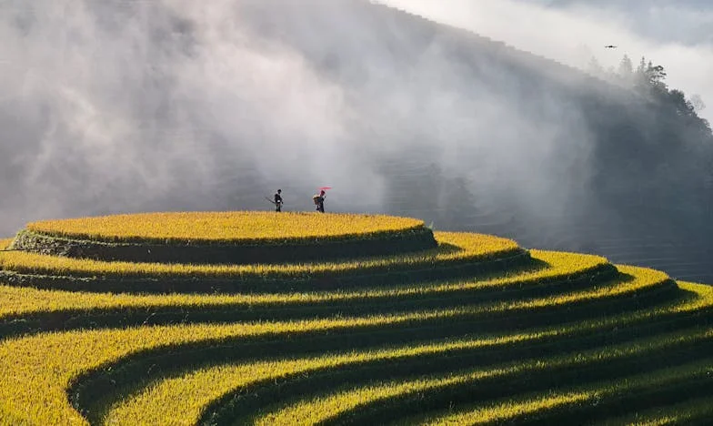 Más allá de las apariencias: La historia de Lucía entre mentiras y verdades