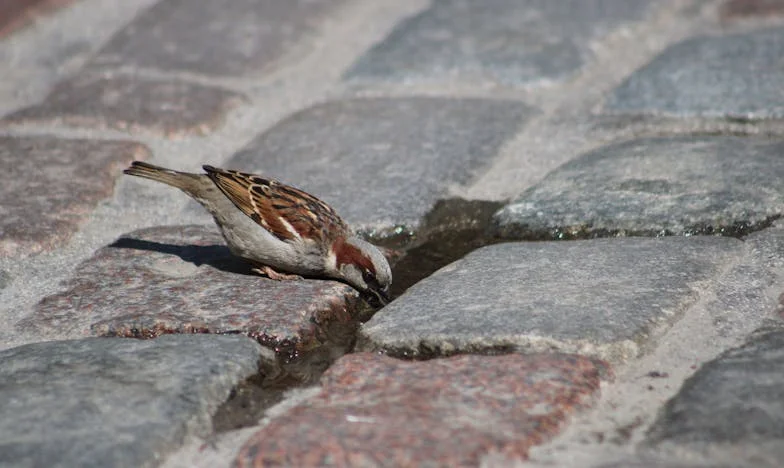 Mi hermano Sergio ya no me habla: Celos, familia y la distancia que duele