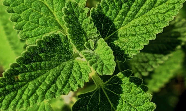 "Necesito un respiro" – Cómo me quedé sola con mi hija recién nacida y mis propios miedos