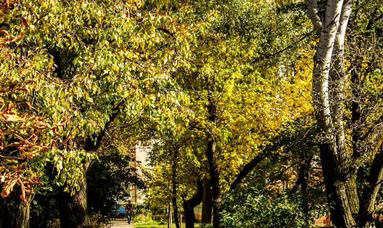 ¿Perdí a mi nieta por unos dulces?