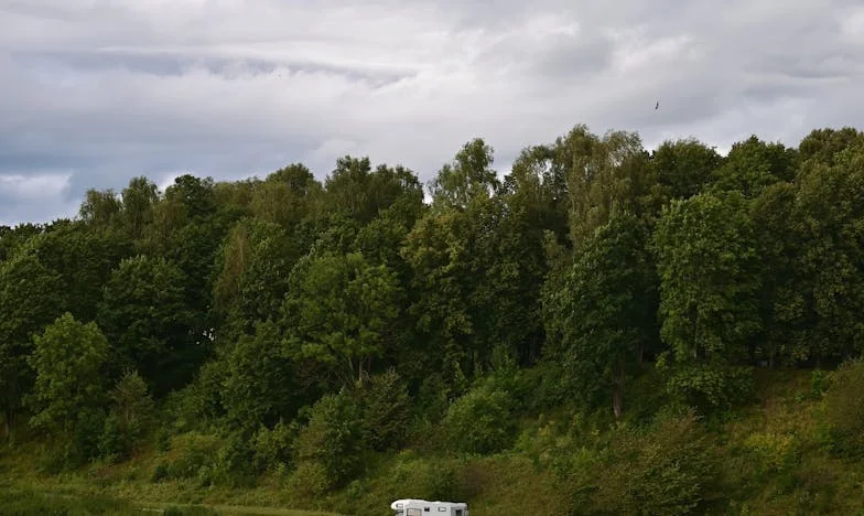 Sesenta velas y un sobre: el día que mi vida se rompió