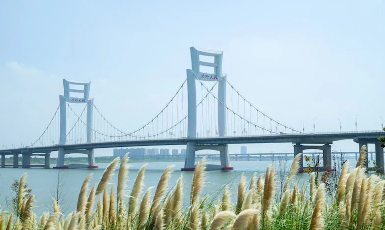 Siete años bajo el mismo techo: la historia de Lucía y su suegra