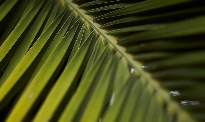 “Solo es familia, ¿no? Seguro puedes encontrarle una hamburguesa más a tu sobrino” – Cuando una sola petición lo cambia todo