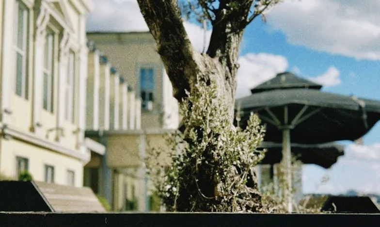 Te fuiste y ahora somos desconocidos: Historia de una madre en Madrid