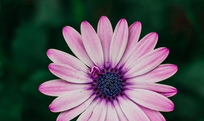 Treinta años de mentiras: Cuando mi marido fue padre otra vez