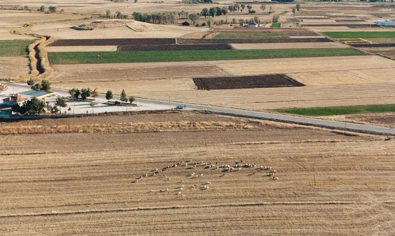 Un solo nieto es suficiente: Mi lucha por ser madre en mi propia familia