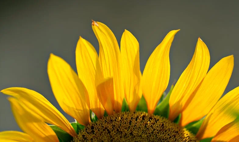 Un susurro en la casa vacía: "¿Cuándo empecé a olvidarme de mí?"