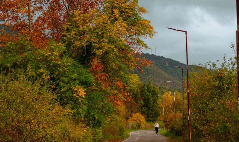 Bajo el mismo techo, distinto corazón: La boda de mi hermana y el regalo de mi padre