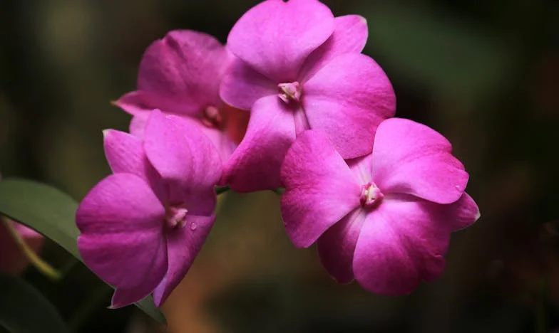 Bajo el mismo techo: traición, secretos y heridas familiares