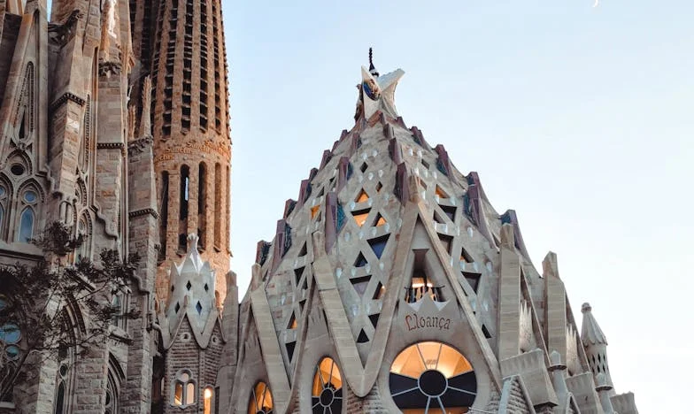 Cerré los ojos ante su traición – hasta que caí en la calle y descubrí quién realmente estaba a mi lado