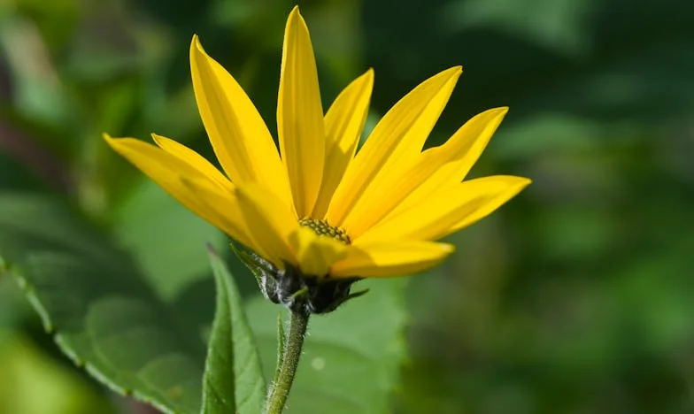 Cuando el amor se convierte en rutina: la historia de Lucía y Álvaro