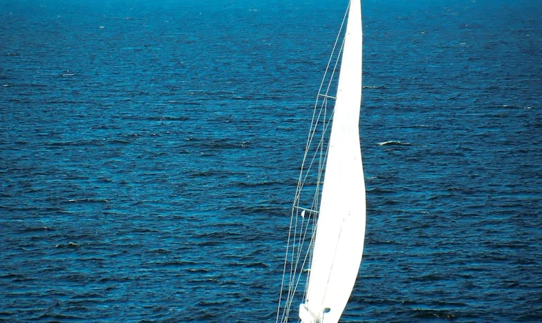 Cuando tu hijo te olvida: Historia de una madre española