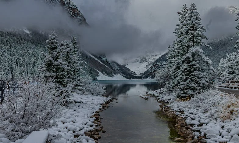 “Dijo que él podría sobrevivir sin mí, pero yo no sin él”: El día que decidí cambiar mi vida