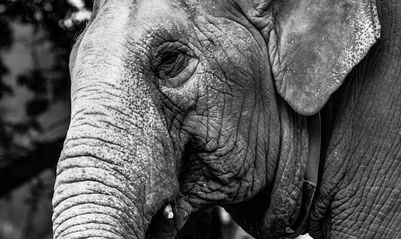 Eché a mi hijo de casa y me mudé con mi nuera: La decisión que cambió mi vida