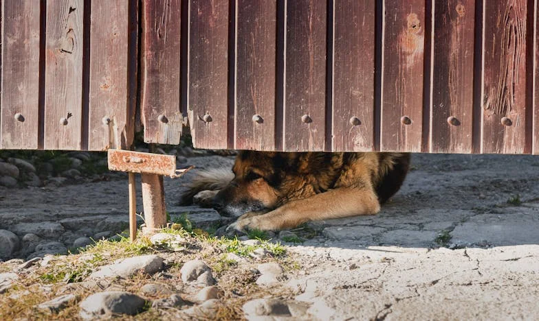 El eco de una cuna vacía: Confesiones de una madre en la sombra