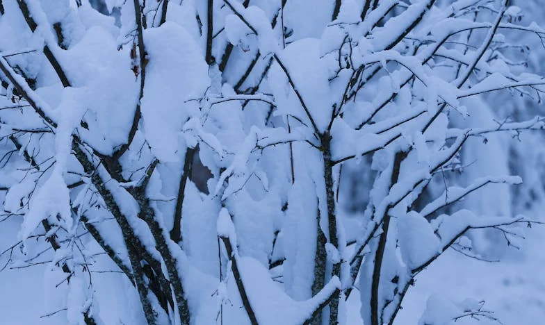 El llanto de Lucía: Cuando la cuna se queda vacía