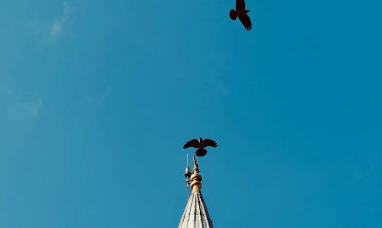 El Regalo Inesperado: Entre la Gratitud y la Sinceridad