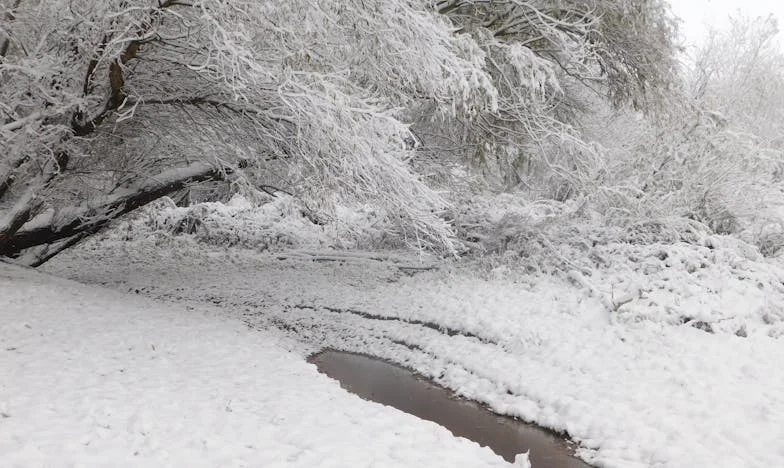 Entre el silencio y la verdad: Mi vida tras la palabra cáncer
