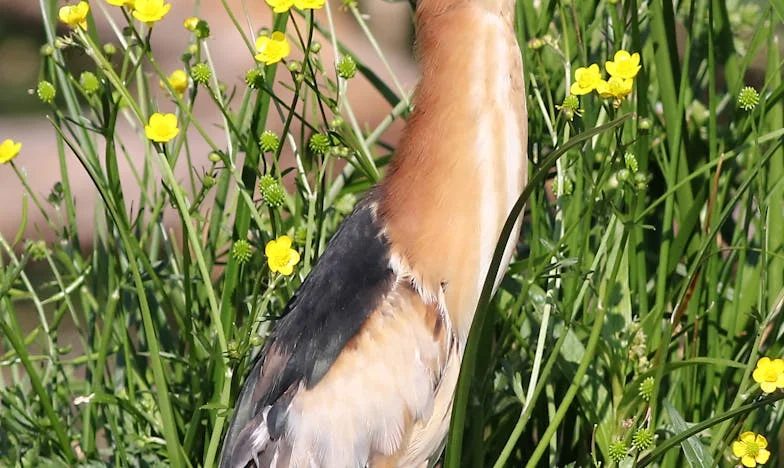 Entre Sombras y Luz: El Despertar de una Familia