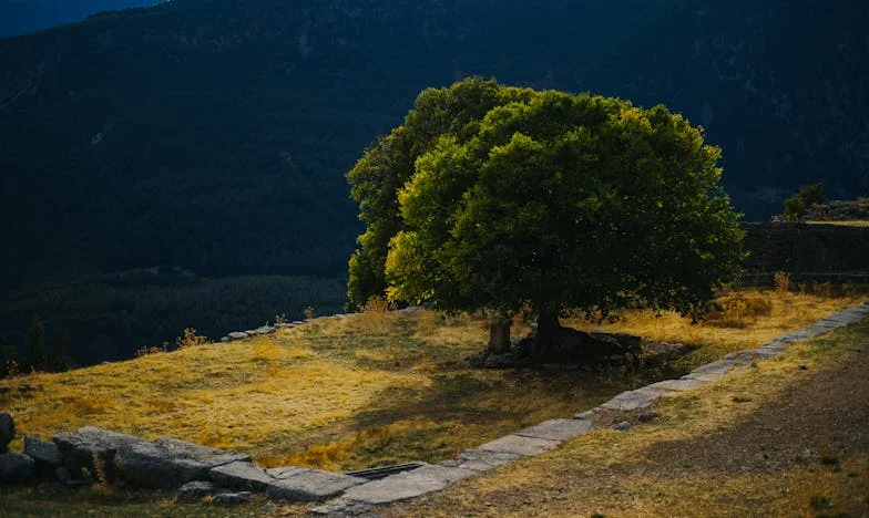 La noche en que lo perdí todo: una historia de traición, lucha y renacimiento