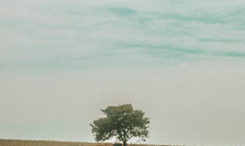 Mi casa no es un hotel: Aprendiendo a decir basta