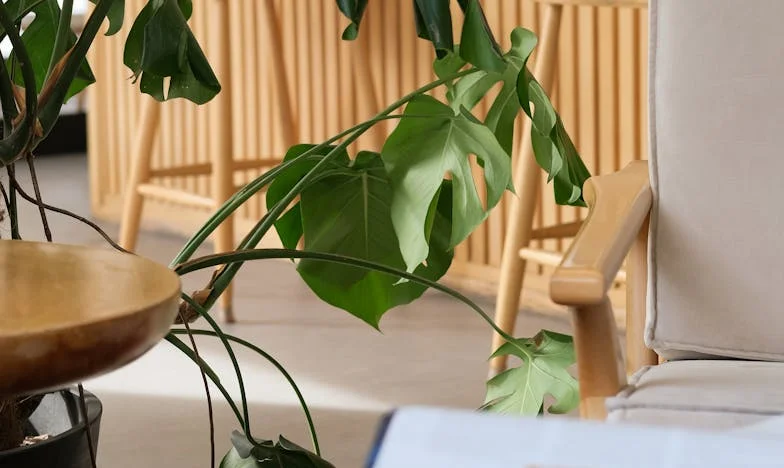 No puedo querer a mi hija: El boomerang de mi vida en Madrid