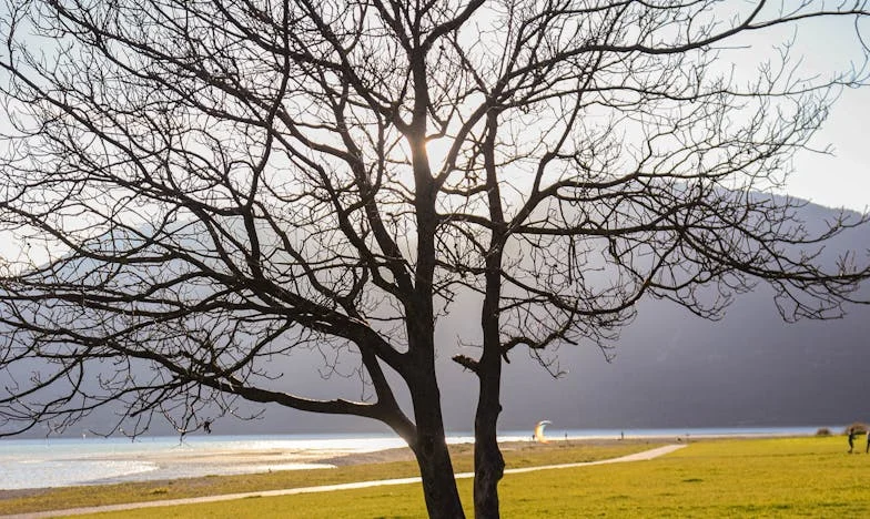 “No quiero vivir aquí”: Cuando mi suegra rompió nuestro hogar
