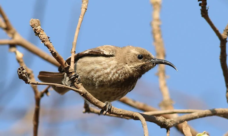 No soy más su criada: Mi lucha por el respeto en mi propia familia
