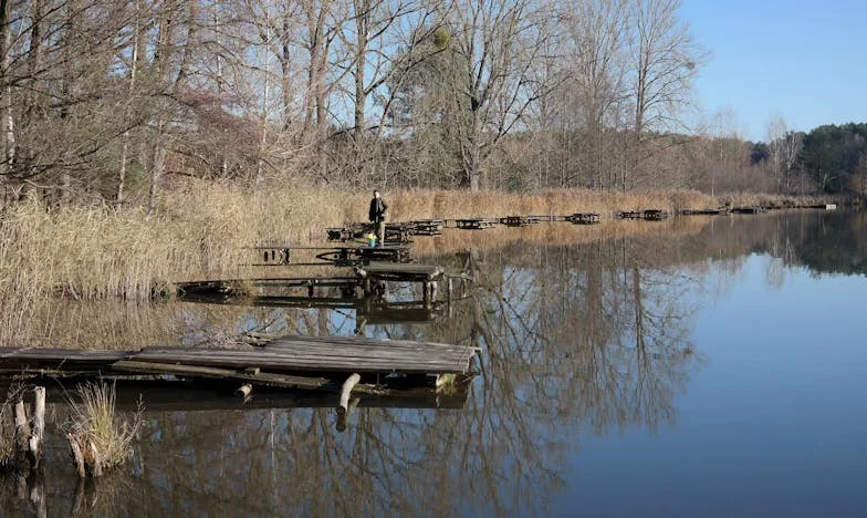 ¿Soy una mala madre por echar a mi hijo y su esposa de casa?