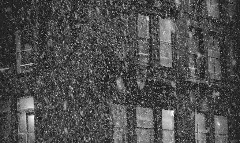 Bajo el mismo techo: Cuando los hijos se convierten en extraños