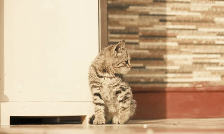 Cada fin de semana, mi hogar se convierte en una guerra: Confesiones de una nuera española