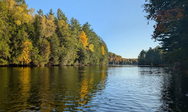 Cinco años de silencio: Cuando la deuda se convierte en una carga entre amores