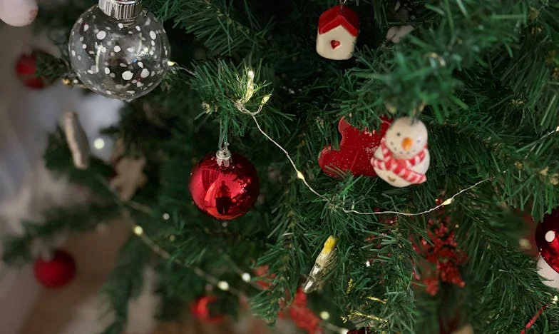 Cuando dijeron que Lucía no era lo suficientemente guapa para mí: Mi lucha por el amor en un mundo de prejuicios