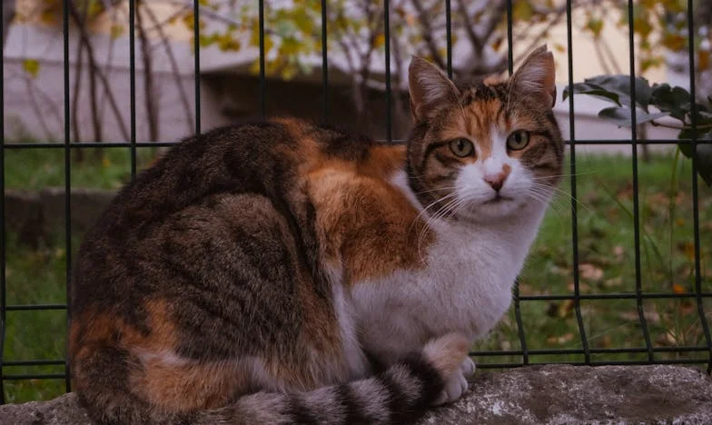 Cuando el silencio pesa más que el cansancio: La historia de Lucía en Sevilla