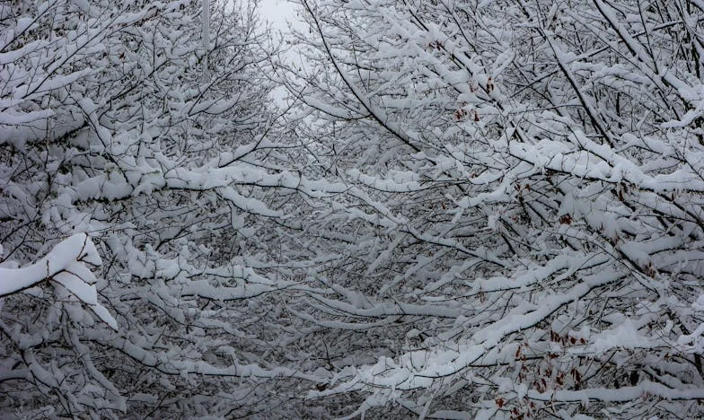 Cuando mamá llama al amanecer: Mi historia de amor, control y decisiones imposibles