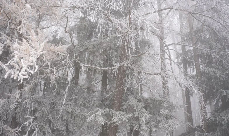 Cuando mi suegra intentó echarme de casa: una historia de fe, resistencia y dignidad