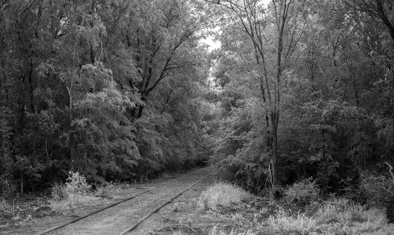 Devuelta como un objeto: La historia de Lucía y la mujer que nunca la olvidó
