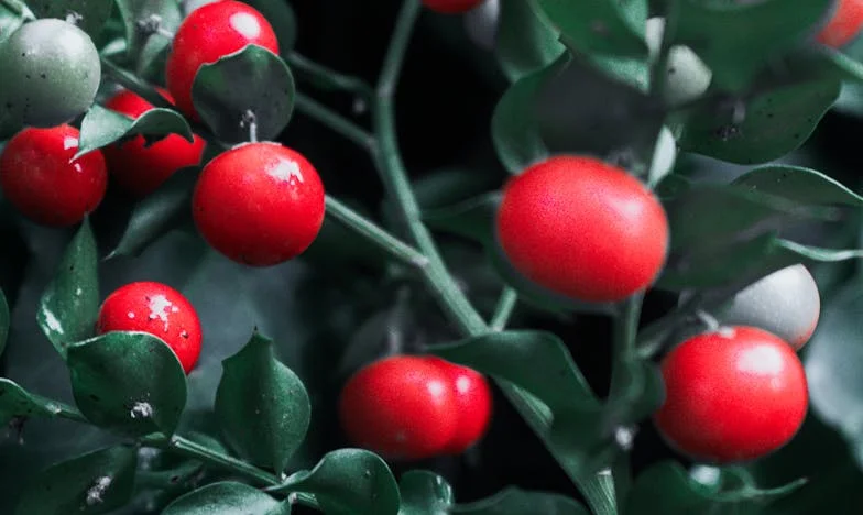 El intercambio que rompió mi familia: una petición, un hijo y heridas abiertas