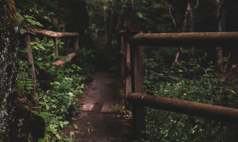 El precio de rendirse: La historia de Carmen Sánchez