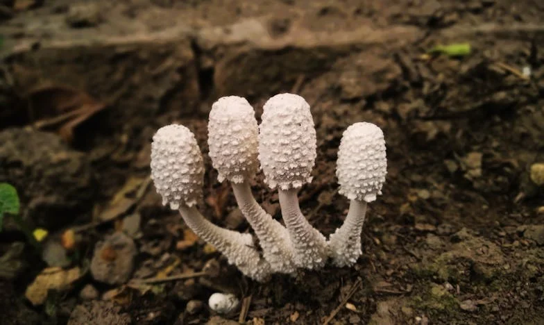 El último amanecer de Lucía: la decisión que partió mi vida en dos