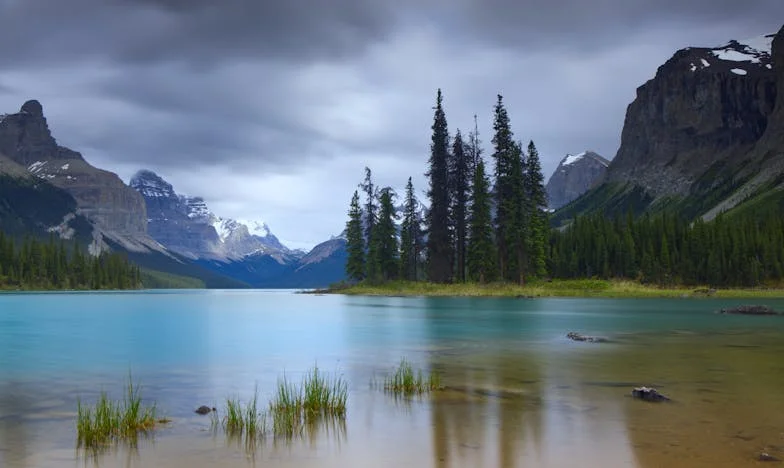 Entre cuatro paredes: la traición que nunca imaginé