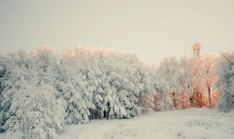 Entre dos fuegos: Cuando la familia rompe el corazón