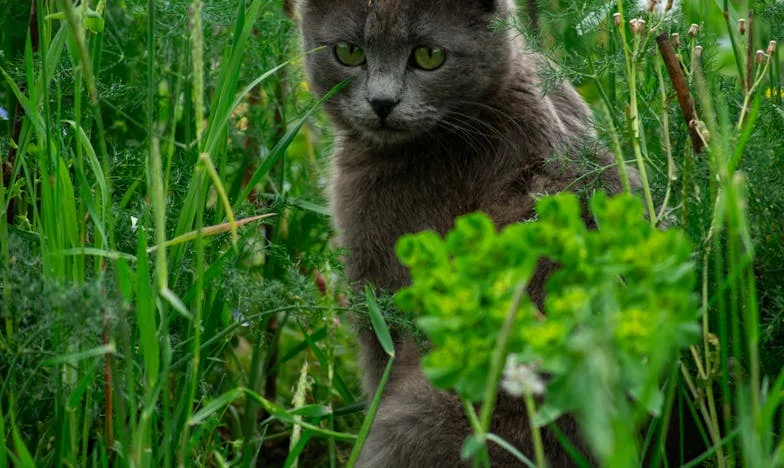Entre la familia y mi propio silencio: un fin de semana bajo asedio