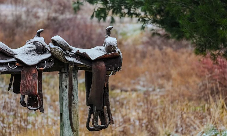 Entre las Sombras de Mi Matrimonio: ¿Hasta Dónde Puede Llegar el Silencio?
