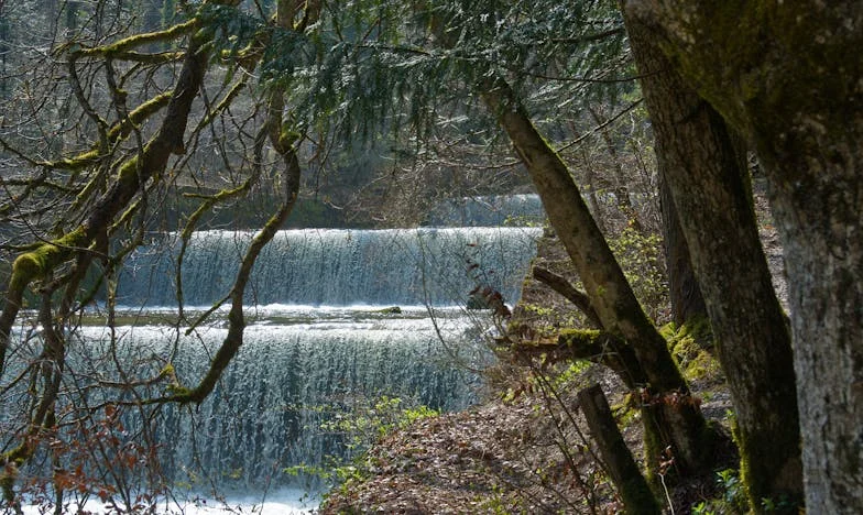 La llamada que rompió mi hogar: Entre mi madre y mi esposa, ¿hay lugar para la paz?