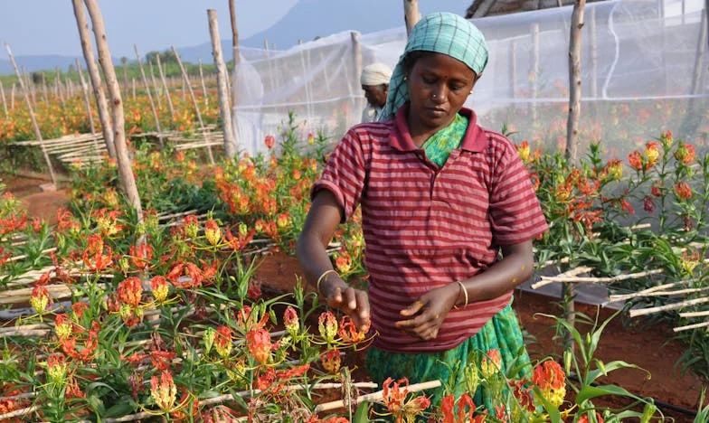 La visita inesperada de mi exsuegra en el cumpleaños de mi hija: ¿Dónde está el límite entre el pasado y el futuro?