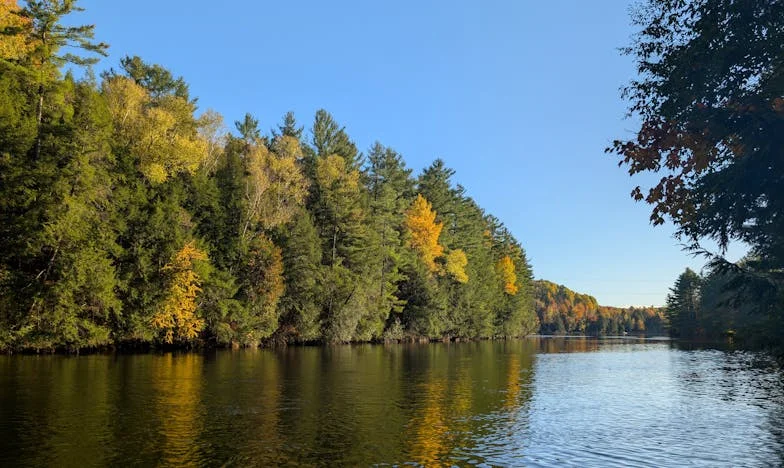 Mentiras bajo el techo: El precio de la verdad en mi familia