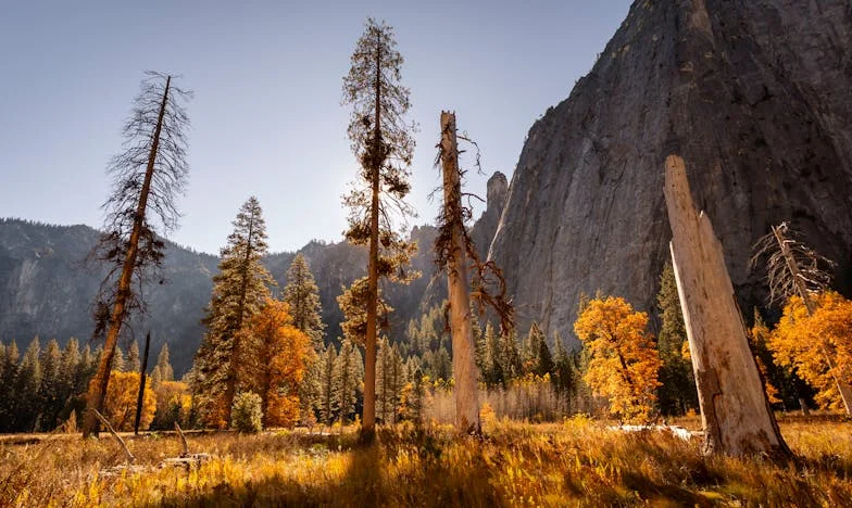 Mi hermana de sangre, mi mayor herida: la historia de cómo rompí con mi propia familia para salvarme